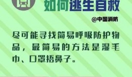 地铁逃生第二章爆料视频,惊险揭秘，逃生之路再启程
