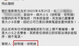 台媒最近爆料视频大全最新,视频大全揭露惊人内幕