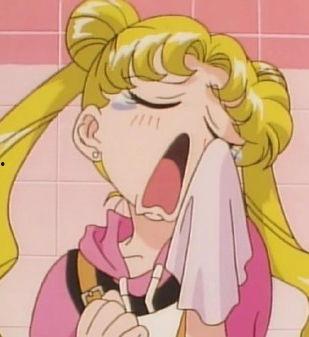 娱乐吃瓜君绵羊